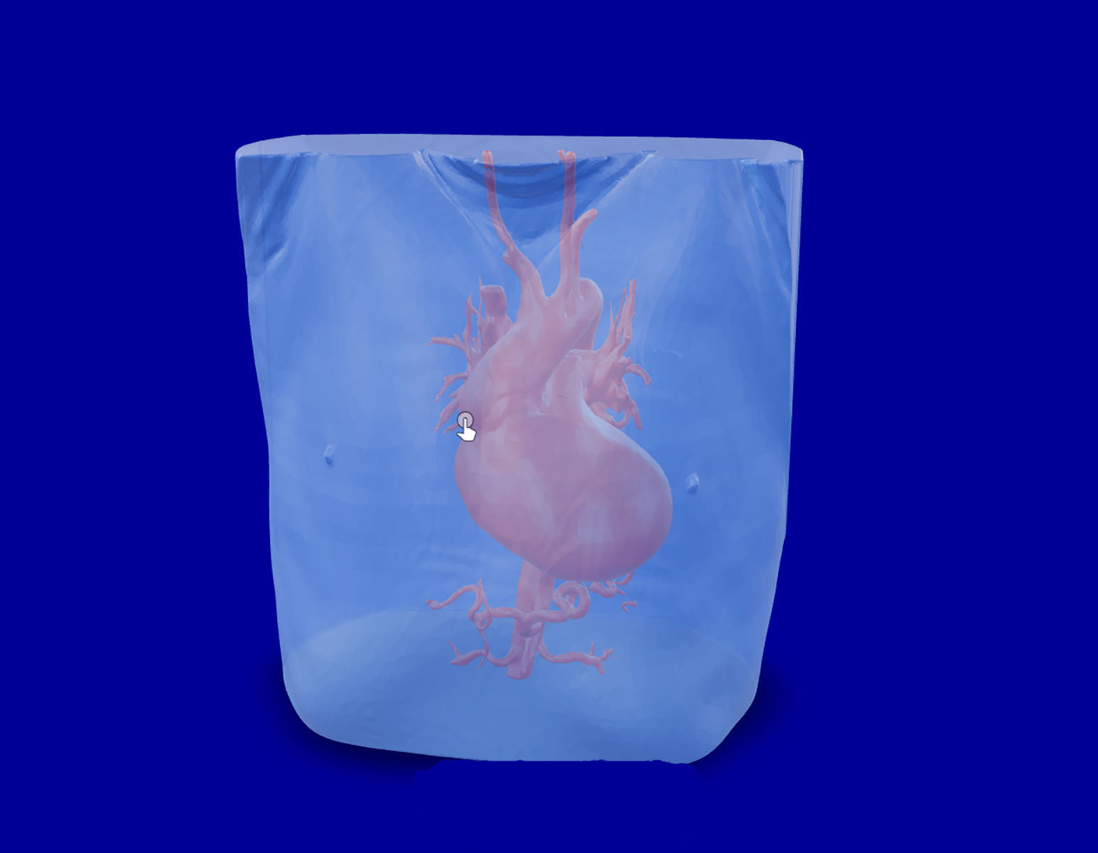 Heart Model