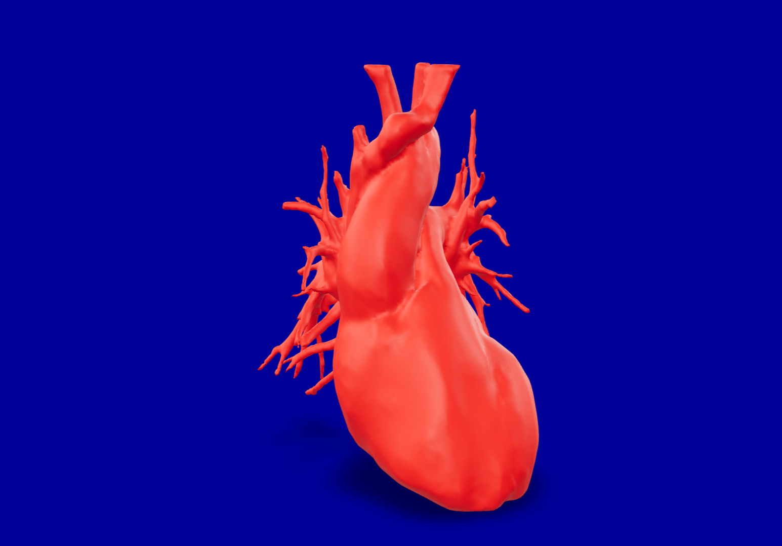 Heart Model